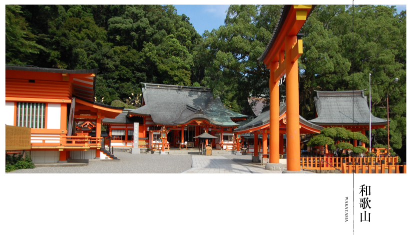 top_wakayama.jpg